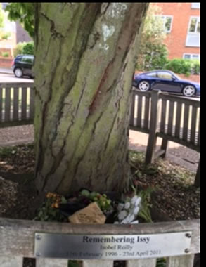 bench under tree with flowers