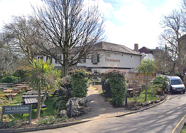 The Telegraph pub, Putney Heath