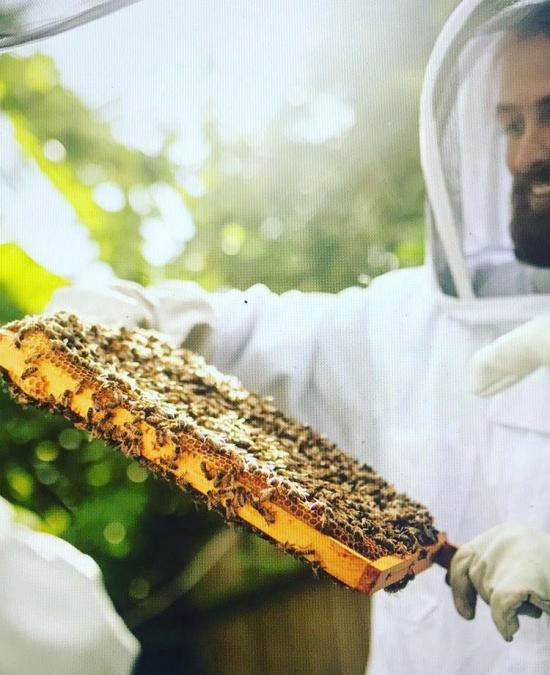 Ali Alzein holding some bees close to his face wearing full protective clothing