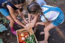 Microsoft Offers Funding for Local Sustainability Projects