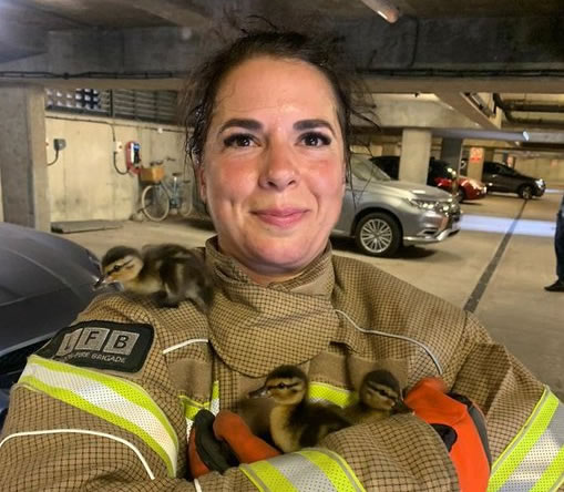 Malena Orlando with the ducklings 