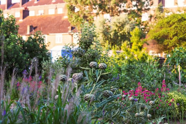 Phoenix Farm in White City W12 