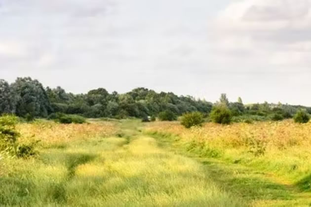 Wormwood Scrubs