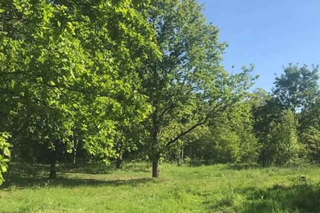 Wormwood Scrubs