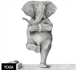 Art Yoga at Elephant West in Shepherd's Bush