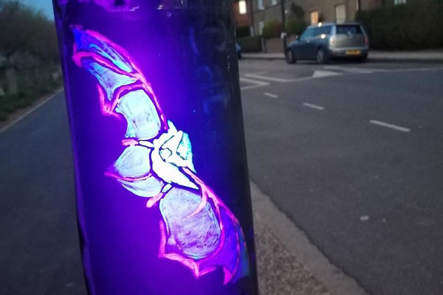A bat painted in ultraviolet on a streetlight column