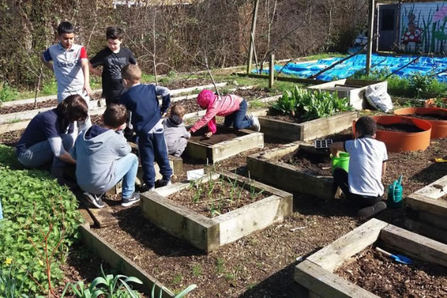 Gardening and growing skills, planting seeds and feeding chickens and rabbits are among the activities for families at Phoenix Farm 