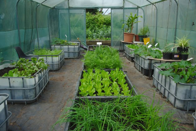 Glasshouses, polytunnels and a series of planting beds mean the farm provides a learning resource year-round, as well as offering volunteering opportunities