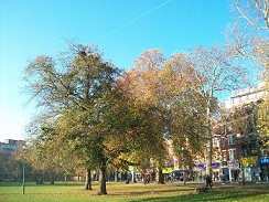 Autumn on Shepherd's Bush Green